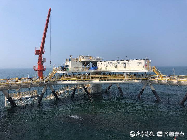 挺進深海，唱響“經(jīng)?！蹦粮?！煙臺開啟向海圖強新征程