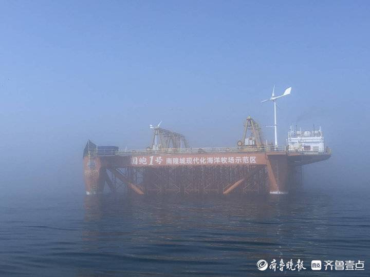 海參鮑魚真饞人！壹粉登上“國(guó)鮑1號(hào)”觀賞南隍城海珍品