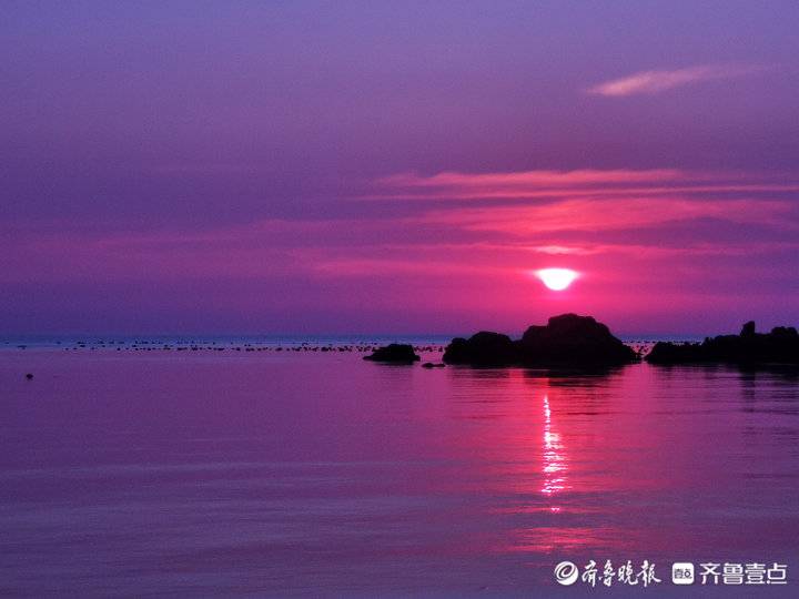賞海島風光！煙臺壹粉：第一次近距離看海蜇，實在是太美了