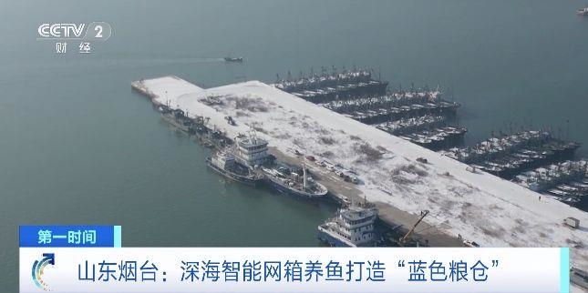 全年不間斷養(yǎng)殖！深海智能網(wǎng)箱養(yǎng)魚打造“藍(lán)色糧倉”