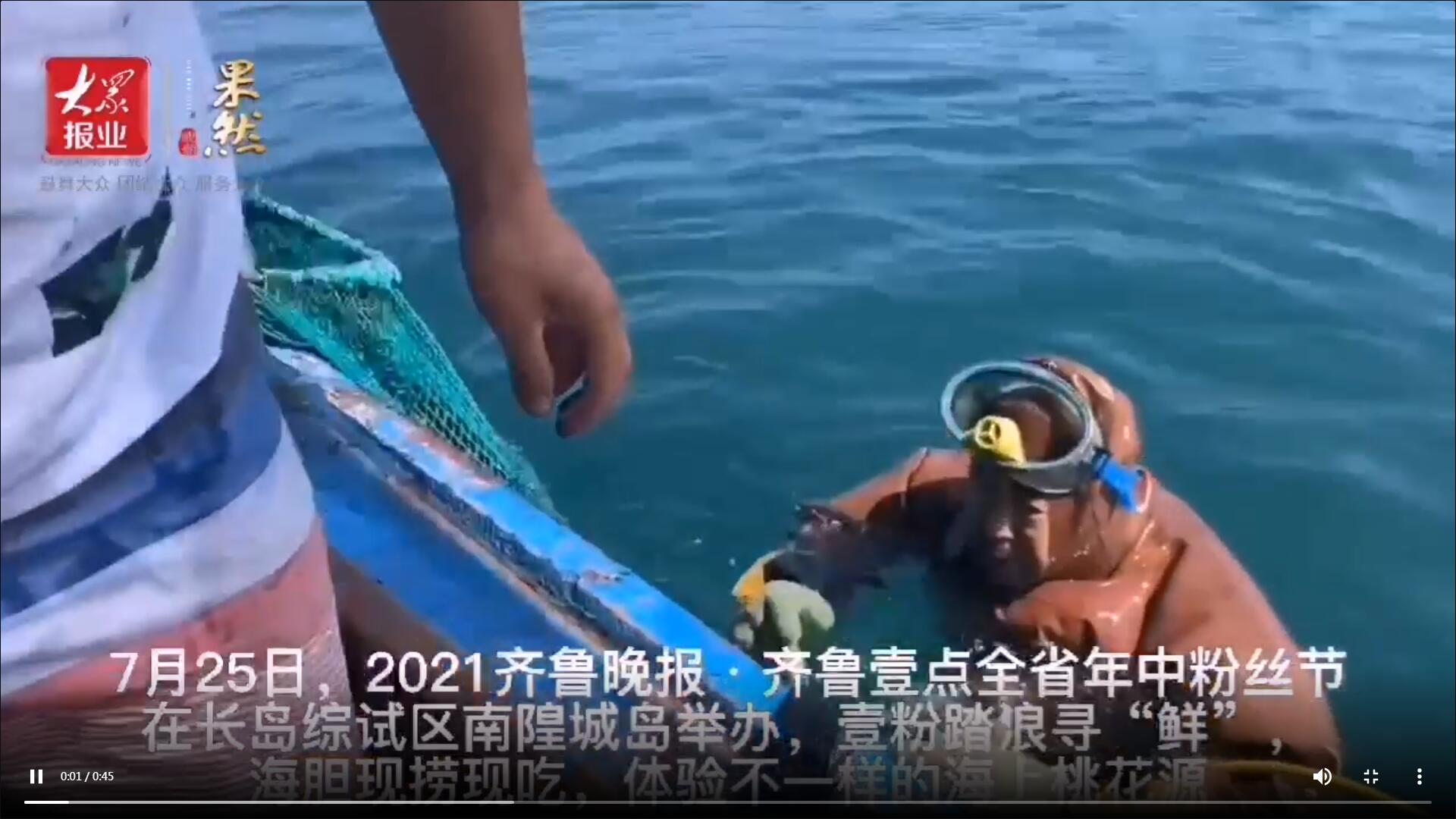 果然視頻|海膽現(xiàn)撈現(xiàn)吃！壹粉踏浪尋“鮮”，直呼太美味