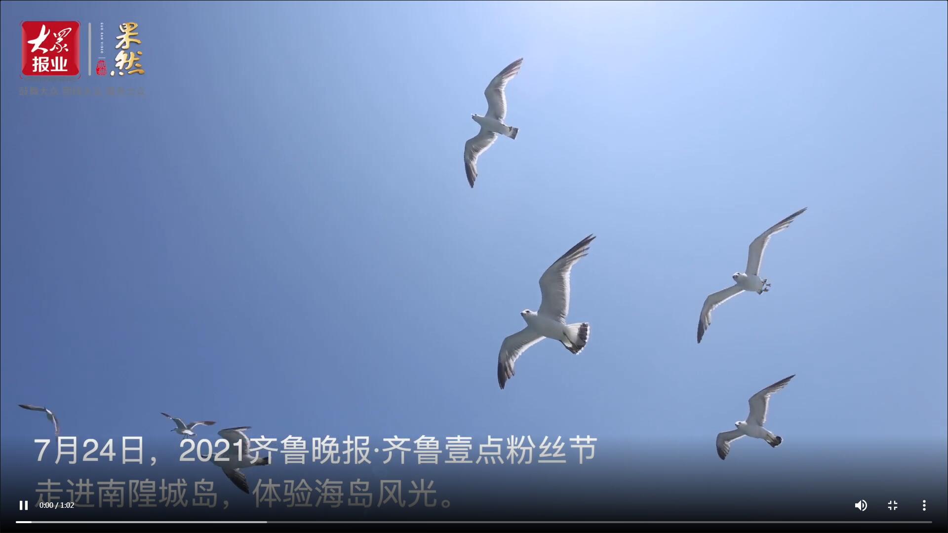 果然視頻|百名壹粉登上南隍城島，開啟海島之旅