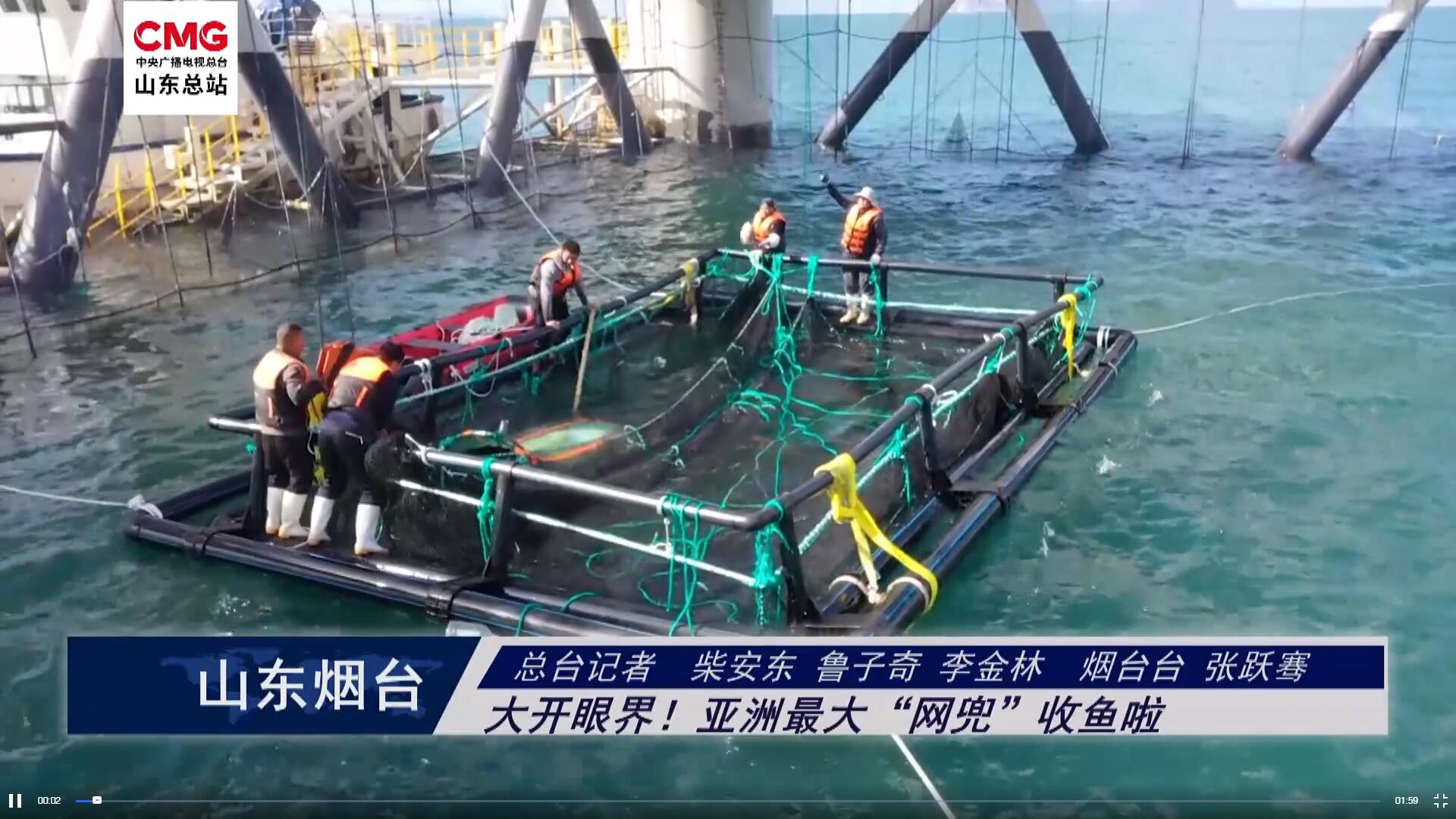 山東煙臺：大開眼界！亞洲最大“網兜”收魚啦