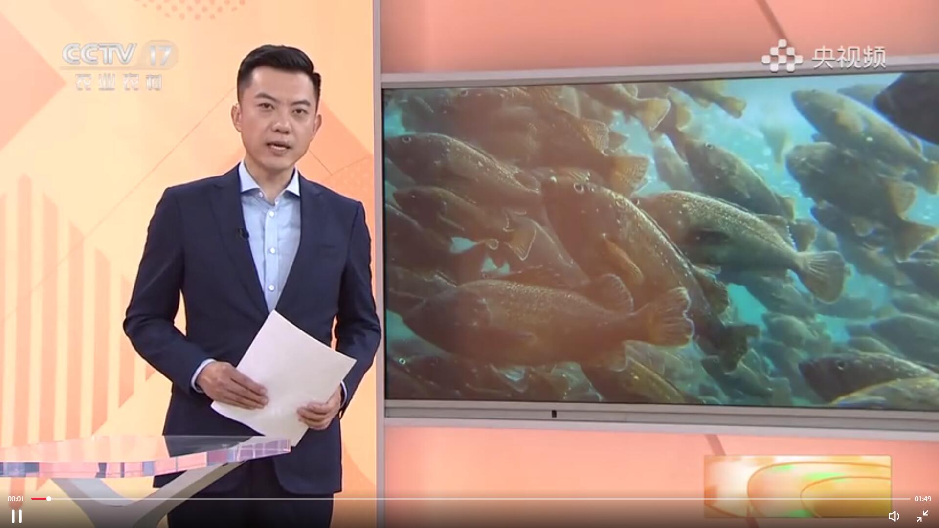 【沉甸甸的收獲】山東煙臺：深海智能網(wǎng)箱養(yǎng)魚打造“藍(lán)色糧倉”