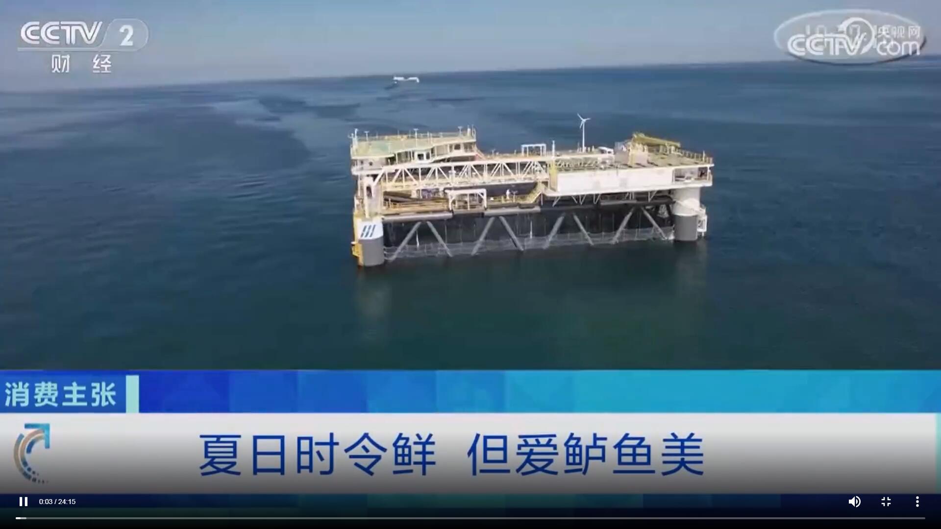 夏日時令鮮，但愛鱸魚美！經(jīng)海深海冷水鱸亮相CCTV-2《消費主張》