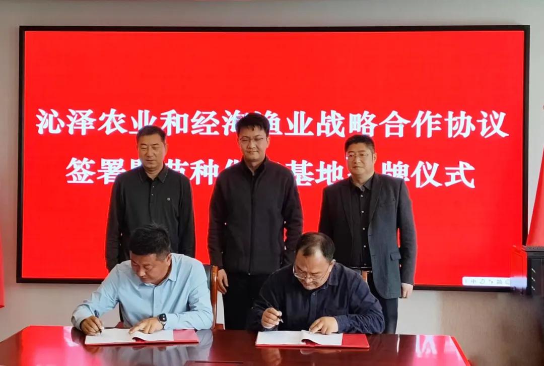 攜手共繪鮭鱒養(yǎng)殖新藍圖——煙臺經(jīng)海漁業(yè)與山西沁澤農(nóng)業(yè)戰(zhàn)略合作協(xié)議簽署及苗種供應基地揭牌儀式圓滿舉行